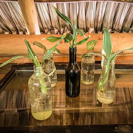 Apartmán Casa La Aventura Guasacate - Popoyo Exteriér fotografie