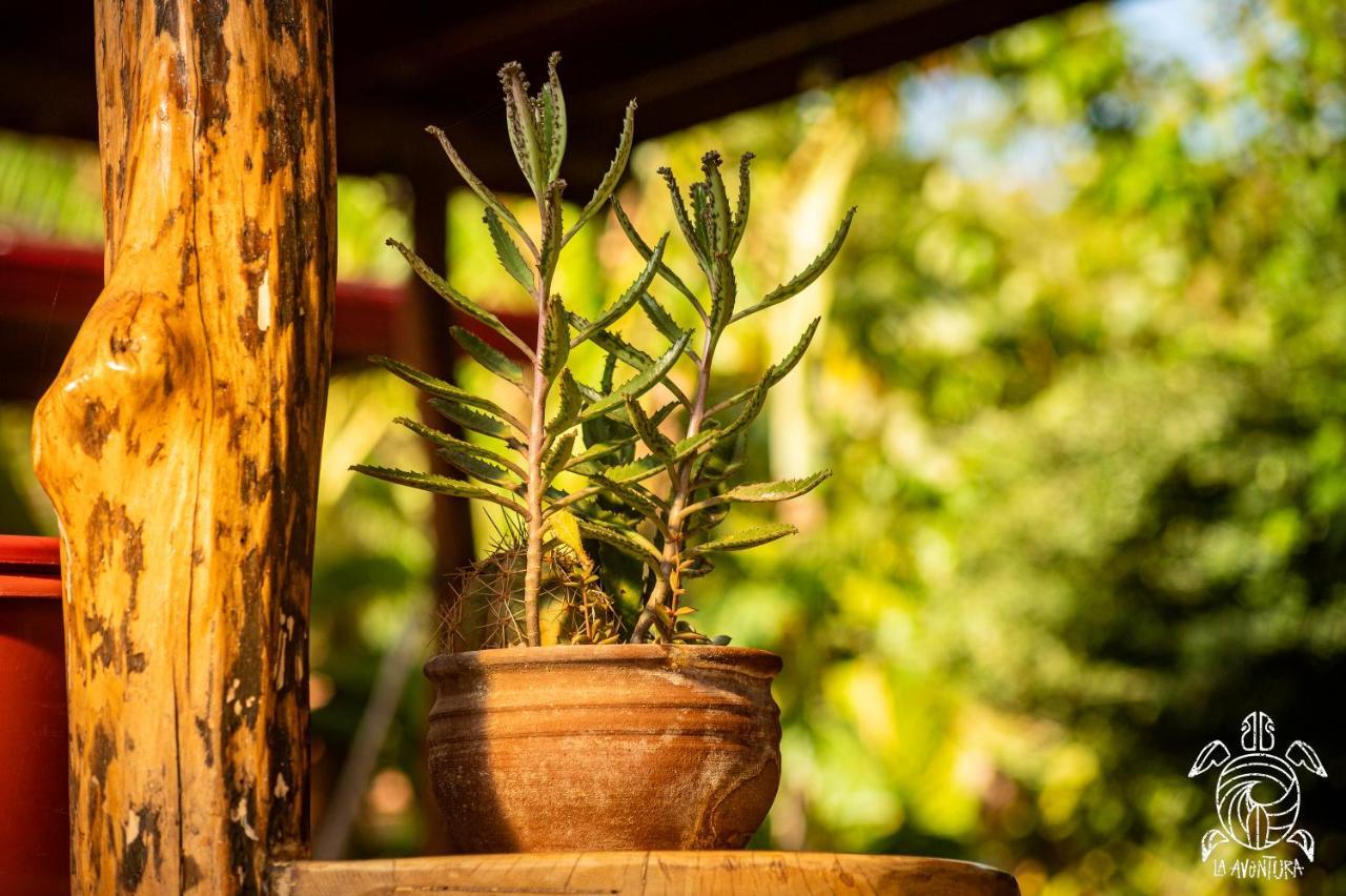 Apartmán Casa La Aventura Guasacate - Popoyo Exteriér fotografie